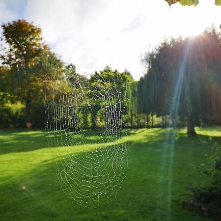 Gite Du Chateau D'Hardelot A Condette Exteriér fotografie